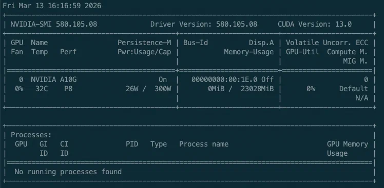 nvidia-smi output confirming GPU access from within the NVIDIA GPU Operator pod